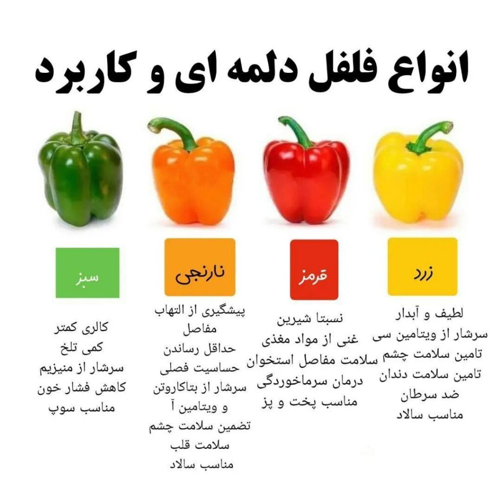 انواع فلفل دلمه ای